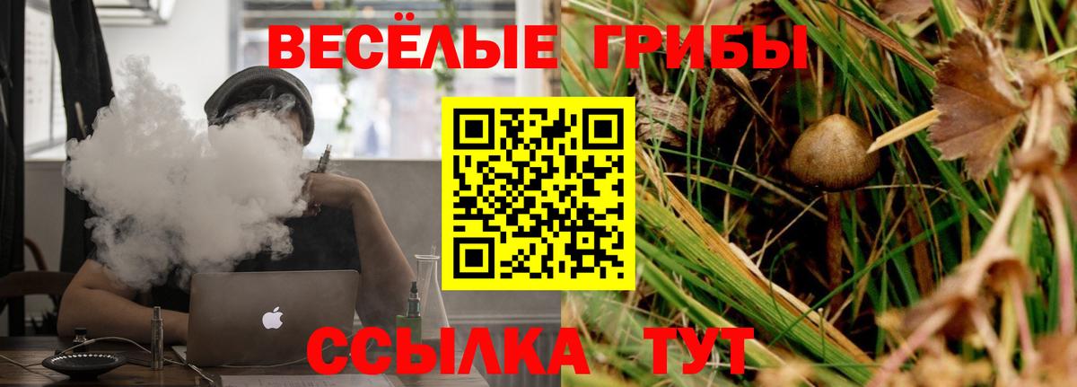 Псилоцибиновые грибы прущие грибы  Вход с VPN  Красный Сулин 