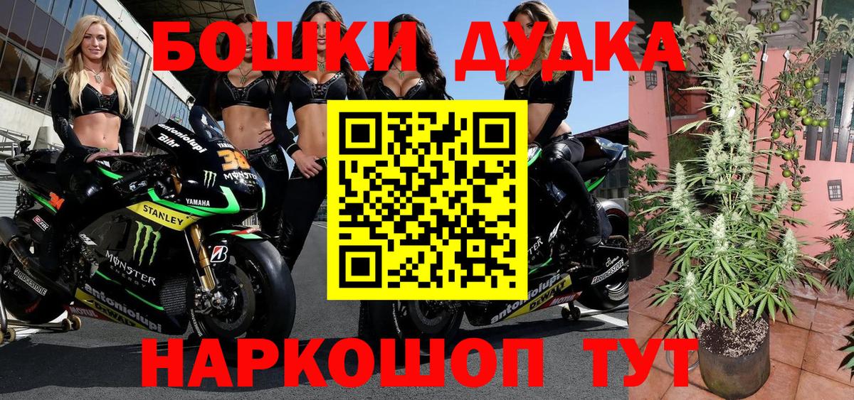 Конопля сатива Красный Сулин